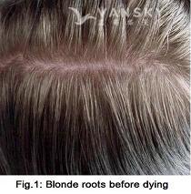 230315094215_Hair-Before Dying-s.jpg